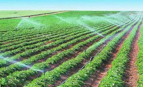 大鸡巴成人网农田高 效节水灌溉